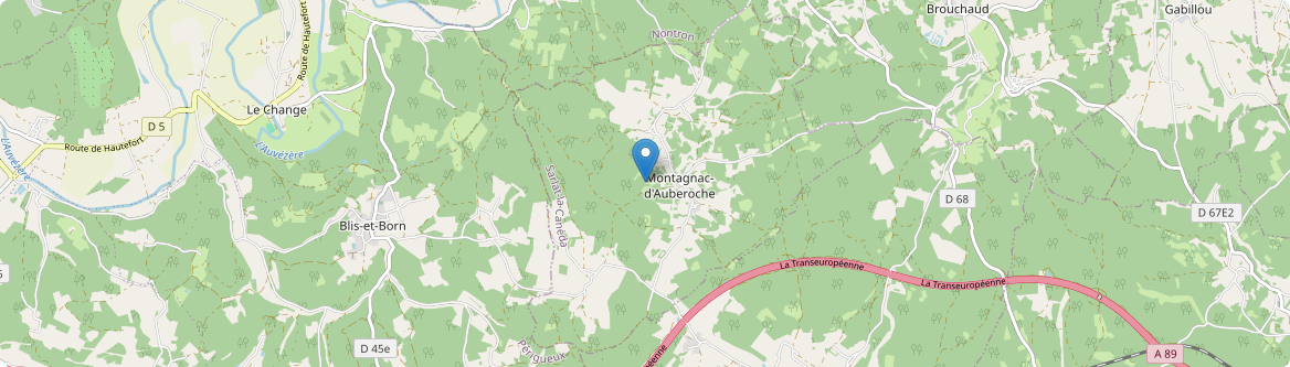 Montagnac-d'Auberoche - Carte