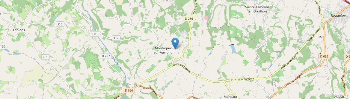 Montagnac-sur-Auvignon - Carte