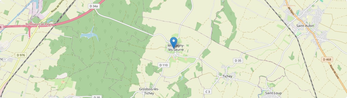 Montagny-lès-Seurre - Carte