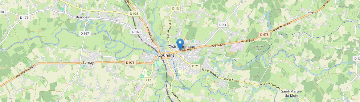 Montagny-près-Louhans - Carte
