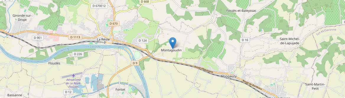 Montagoudin - Carte