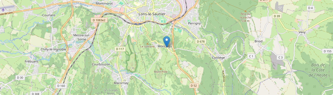 Montaigu - Carte