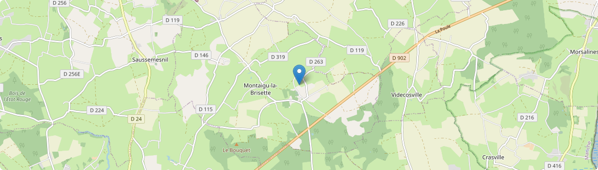 Montaigu-la-Brisette - Carte