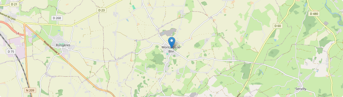 Montaigu-le-Blin - Carte