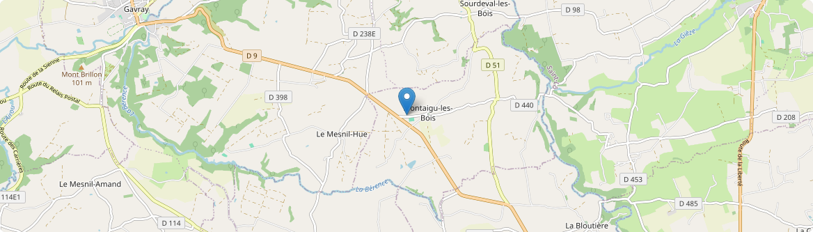 Montaigu-les-Bois - Carte