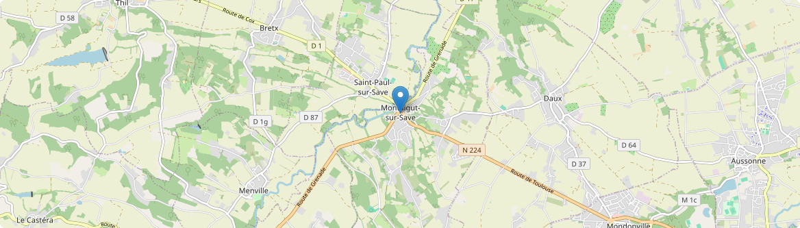 Montaigut-sur-Save - Carte
