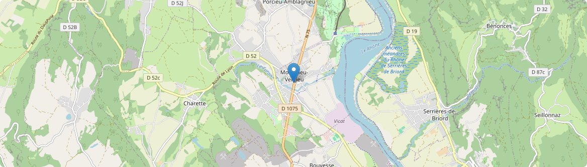 Montalieu-Vercieu - Carte