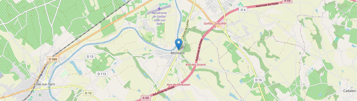 Montans - Carte