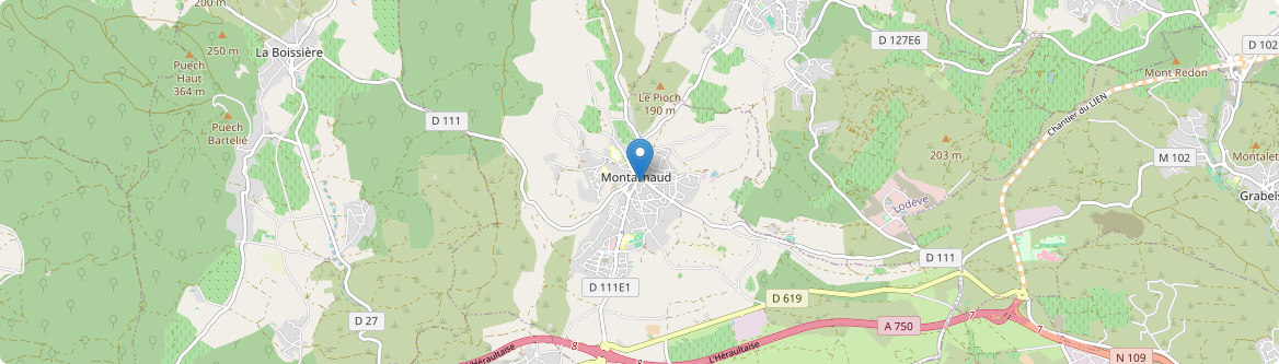 Montarnaud - Carte