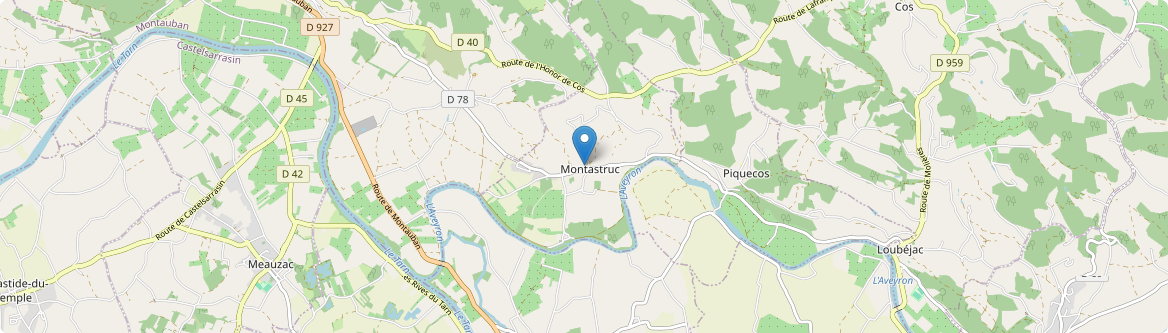 Montastruc - Carte