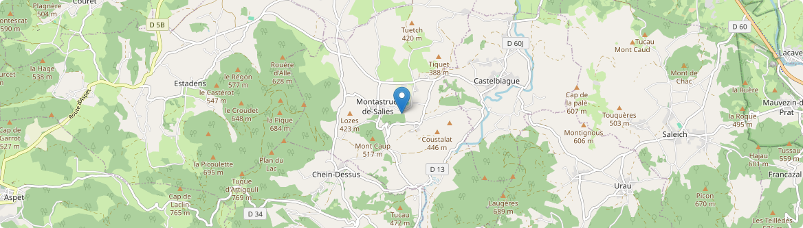Montastruc-de-Salies - Carte