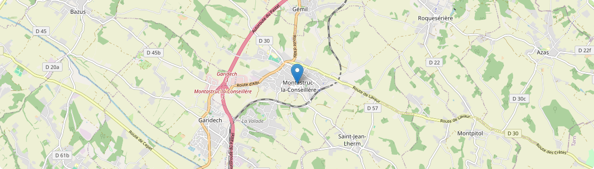 Montastruc-la-Conseillère - Carte