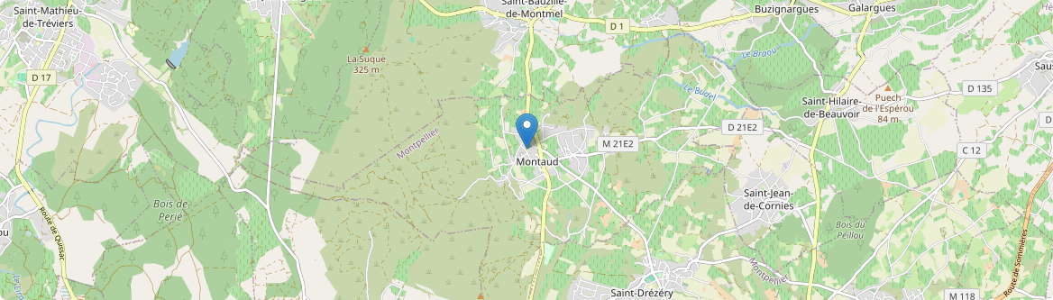 Montaud - Carte