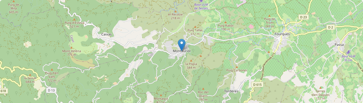 Montauriol - Carte