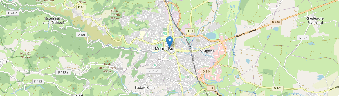 Montbrison - Carte