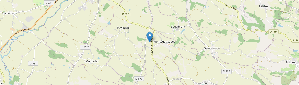 Montégut-Savès - Carte