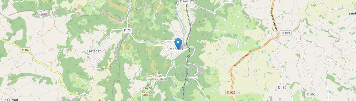 Monteils - Carte