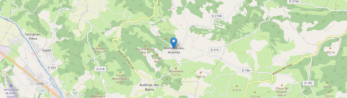 Montesquieu-Avantès - Carte