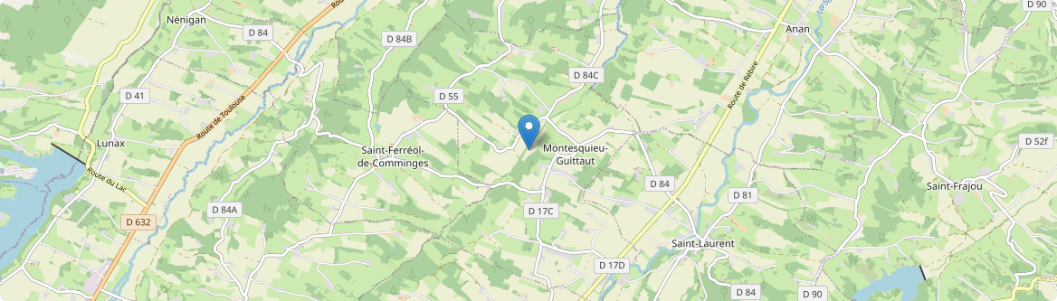 Montesquieu-Guittaut - Carte