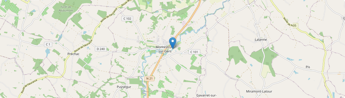 Montestruc-sur-Gers - Carte