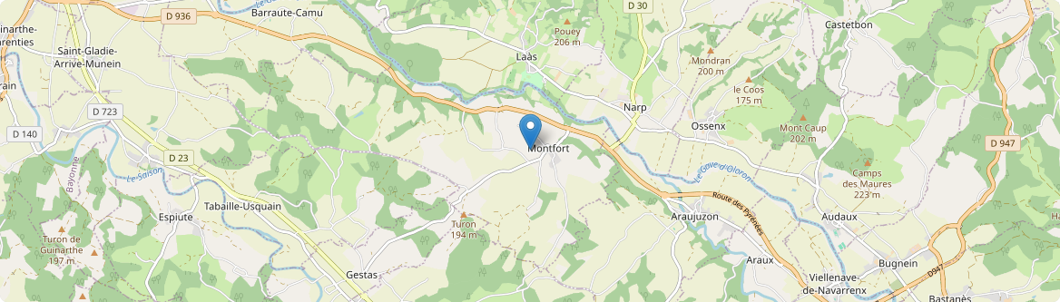 Montfort - Carte