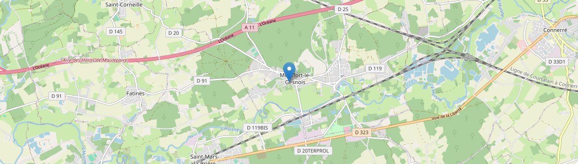 Montfort-le-Gesnois - Carte