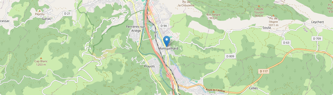 Montgaillard - Carte