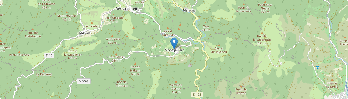 Montgaillard - Carte
