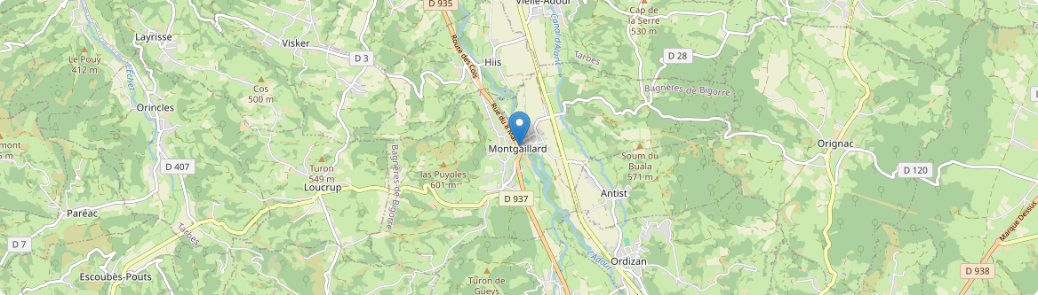 Montgaillard - Carte