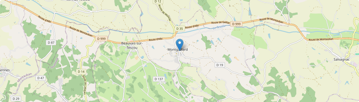 Montgaillard - Carte