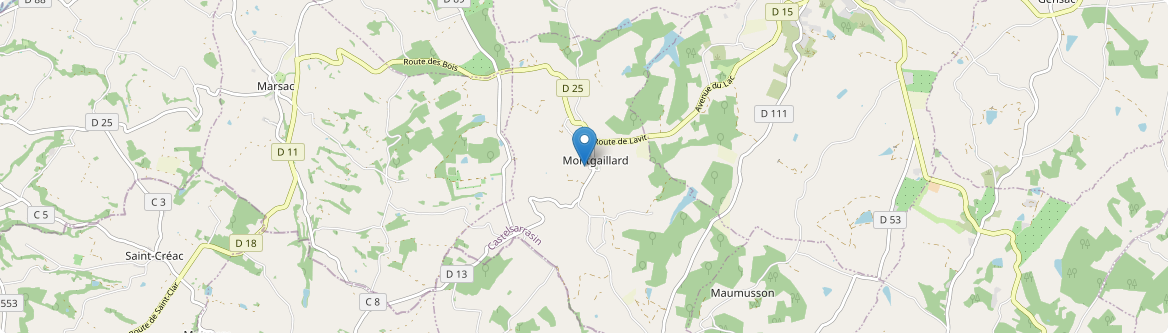 Montgaillard - Carte