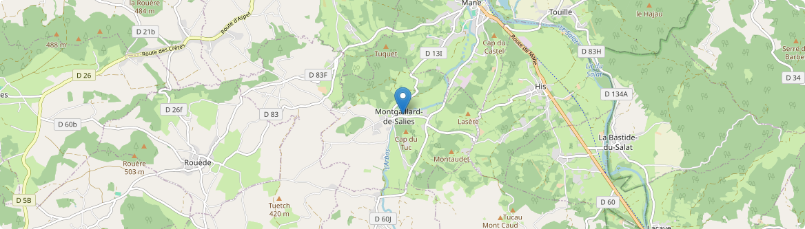 Montgaillard-de-Salies - Carte
