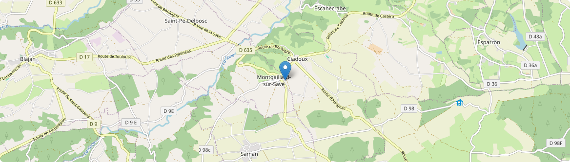 Montgaillard-sur-Save - Carte