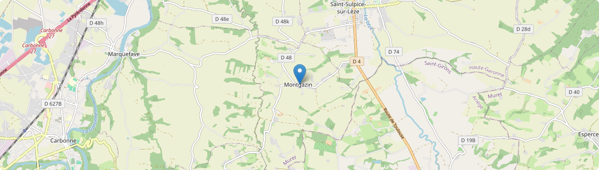 Montgazin - Carte