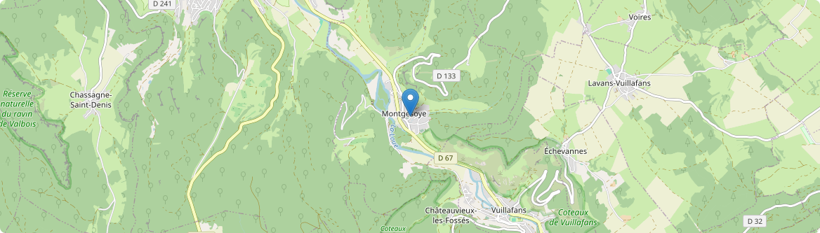 Montgesoye - Carte