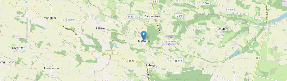 Montgras - Carte