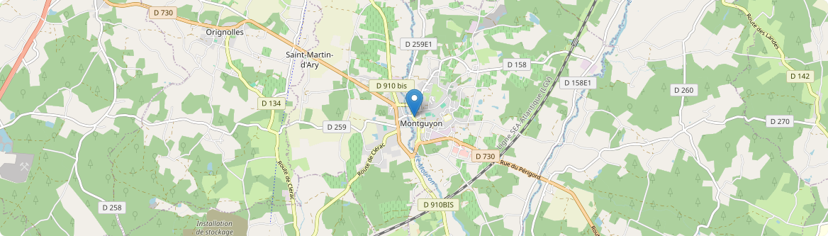 Montguyon - Carte