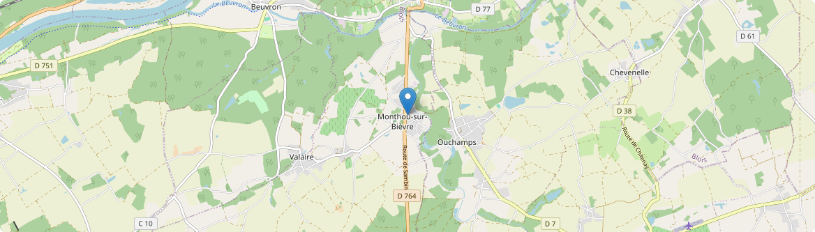 Monthou-sur-Bièvre - Carte