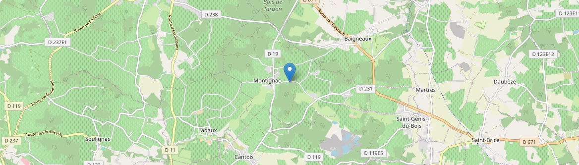 Montignac - Carte