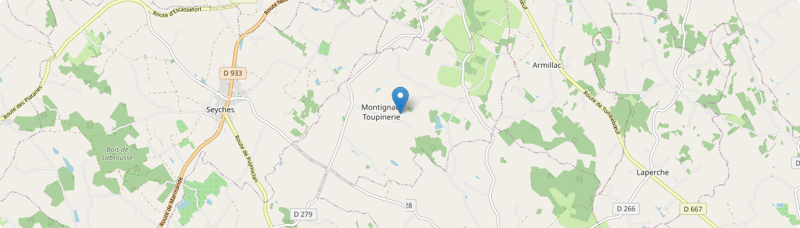 Montignac-Toupinerie - Carte