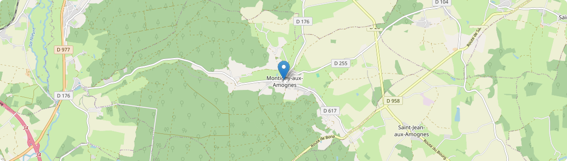 Montigny-aux-Amognes - Carte