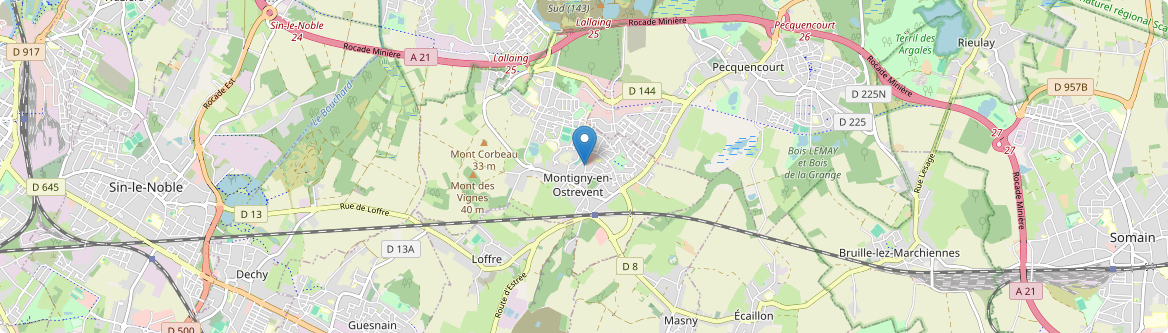Montigny-en-Ostrevent - Carte