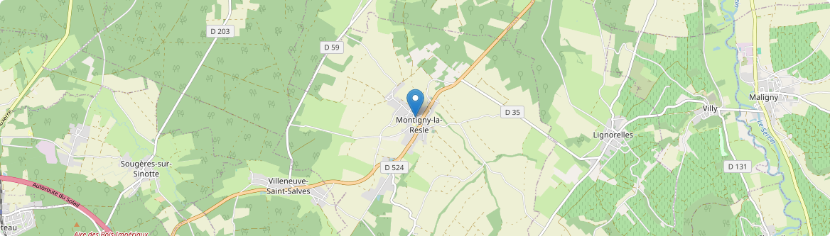 Montigny-la-Resle - Carte