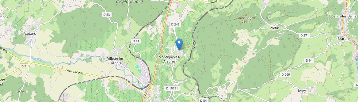 Montigny-lès-Arsures - Carte