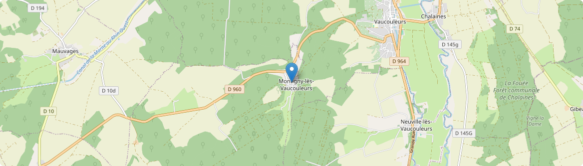 Montigny-lès-Vaucouleurs - Carte
