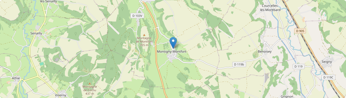 Montigny-Montfort - Carte