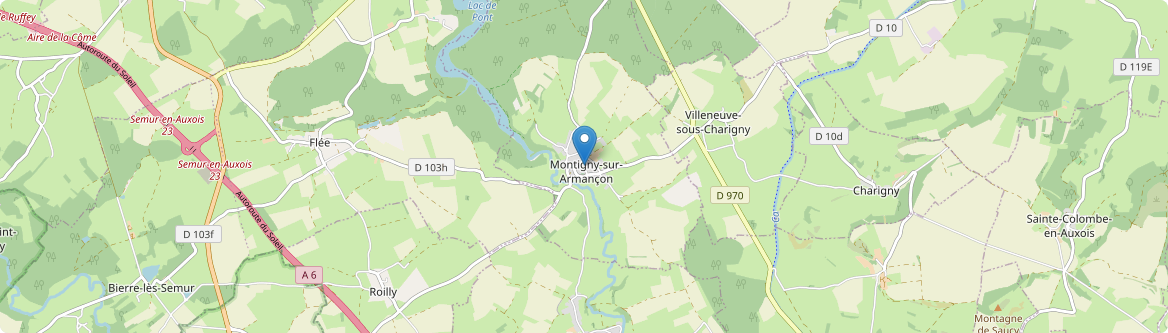 Montigny-sur-Armançon - Carte
