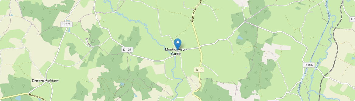 Montigny-sur-Canne - Carte
