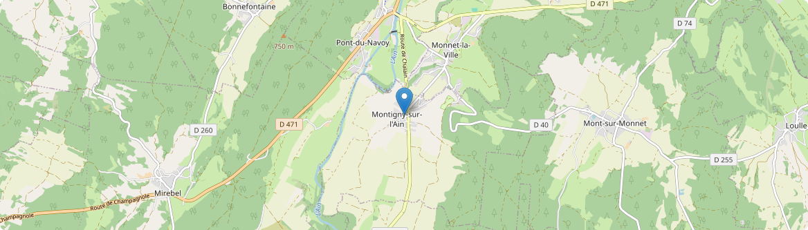 Montigny-sur-l'Ain - Carte