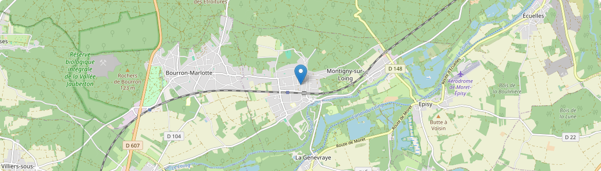 Montigny-sur-Loing - Carte